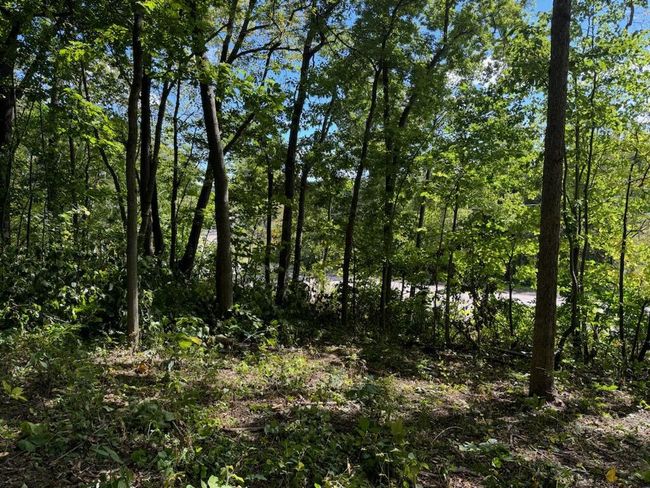 Lt0 312 Th Avenue, Home with 0 bedrooms, 0 bathrooms and null parking in BRIGHTON WI | Image 6