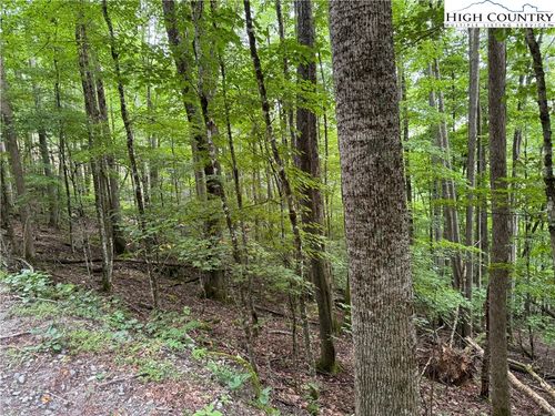 119 Raccoon Rd, Beech Mountain, NC, 28604-8170 | Card Image