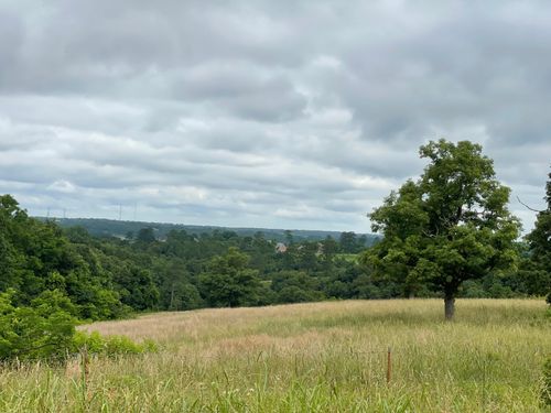 16.7 Ac Turkey Ridge Court, Pineville, MO, 64856 | Card Image
