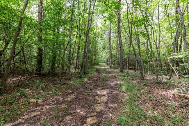 26.18 AC Green Road, Home with 0 bedrooms, 0 bathrooms and null parking in Young Harris GA | Image 27