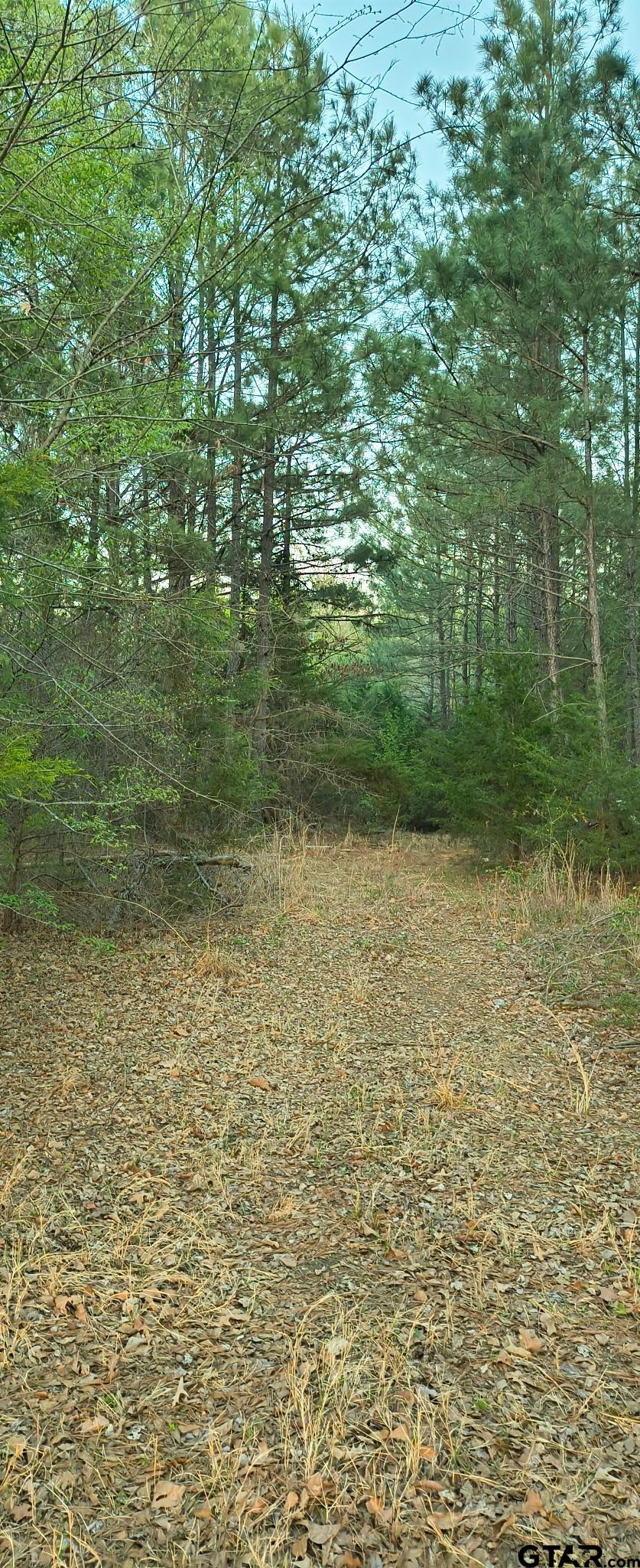 Land in Tyler 2