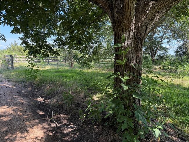 View of yard | Image 4