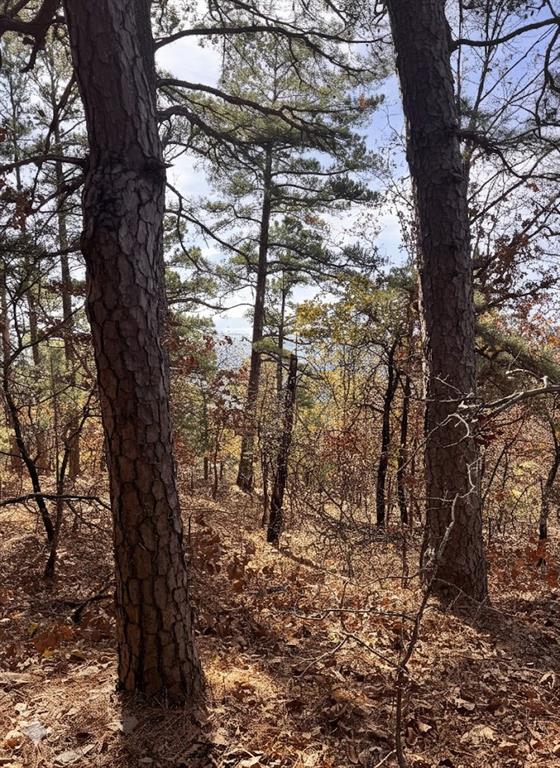 Land in Tuskahoma 2