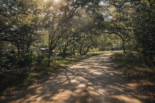 202 Mimosa Dr, Hawthorne, FL, 32640-6459 | Card Image