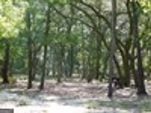 239 River Moss Road, Reidsville, GA, 30453 | Card Image