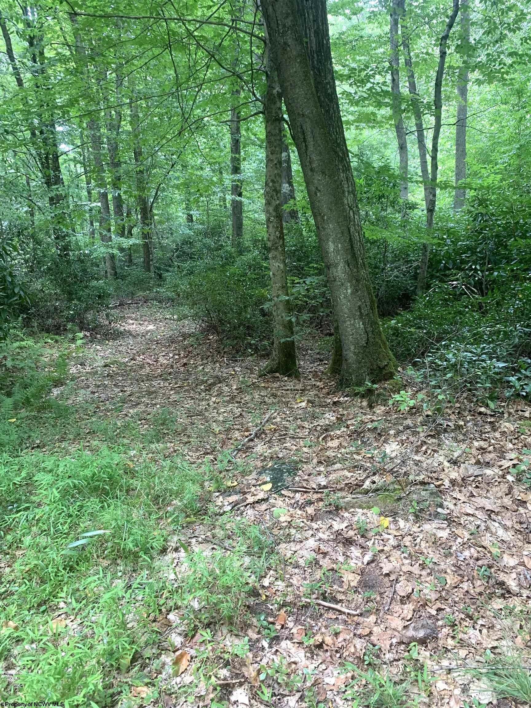 Land in Belington 3