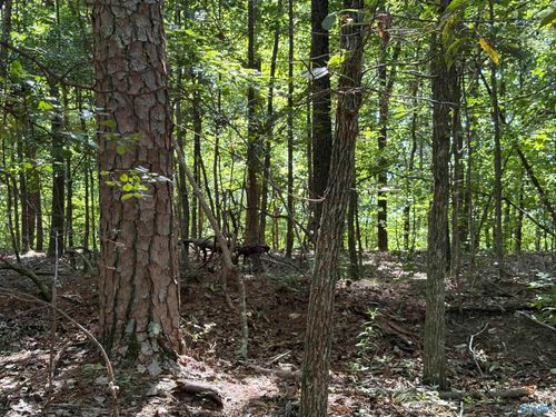 lot-52-1500 County Highway 103, Mentone, AL, 35984 | Card Image