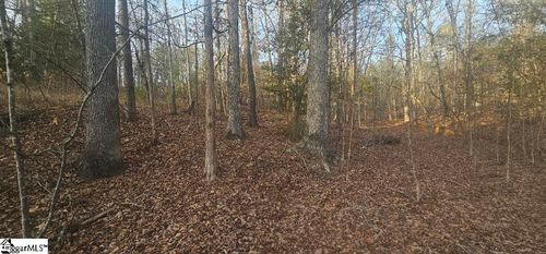 0 Bishop Rd, Pauline, SC, 29374 | Card Image