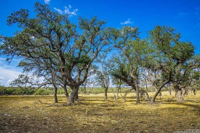 436 Stevens Ranch Rd, Home with 0 bedrooms, 0 bathrooms and null parking in Harper TX | Image 12