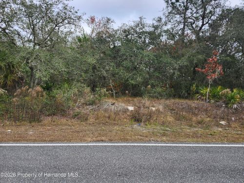 0 Noddy Tern Rd, Brooksville, FL, 34613 | Card Image