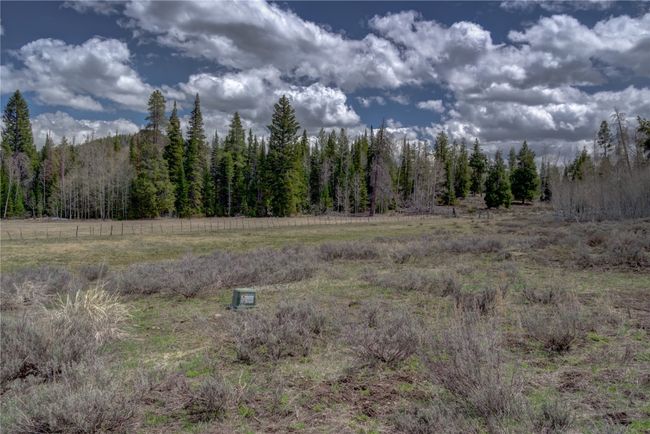 View of local wilderness with a wooded view | Image 16
