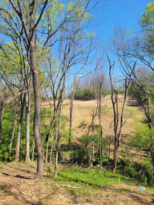 511 Upper Hines Creek Road, Richmond, KY, 40475 | Card Image