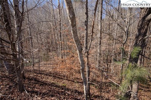 746 Chatsworth Cir, Lenoir, NC, 28645-8397 | Card Image