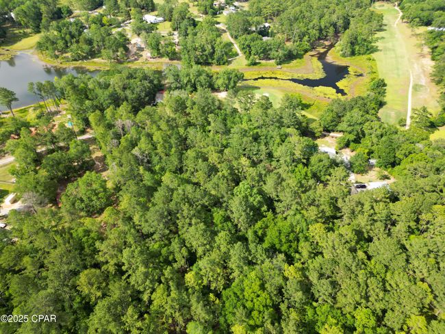 000 Fairway Dr, Home with 0 bedrooms, 0 bathrooms and null parking in Bonifay FL | Image 5