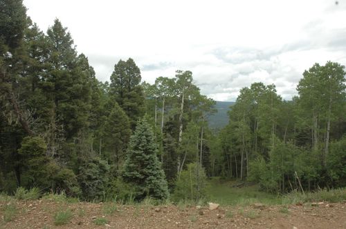 104 Zia Rd, Angel Fire, NM, 87710-8308 | Card Image