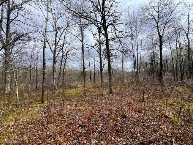 62126 Tamarack River Rd, Home with 0 bedrooms, 0 bathrooms and null parking in SANDSTONE MN | Image 23