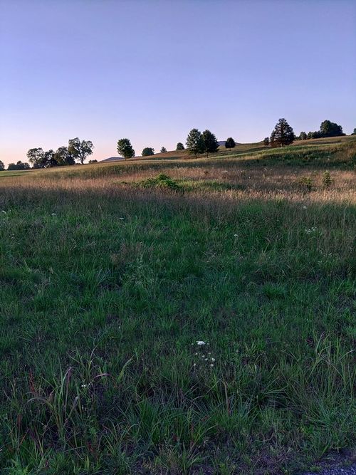 0 Collins Run, Mcminnville, TN, 37110 | Card Image