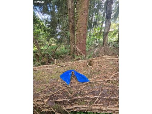 2403/2410 Birch St, CannonBeach, OR, 97110 | Card Image