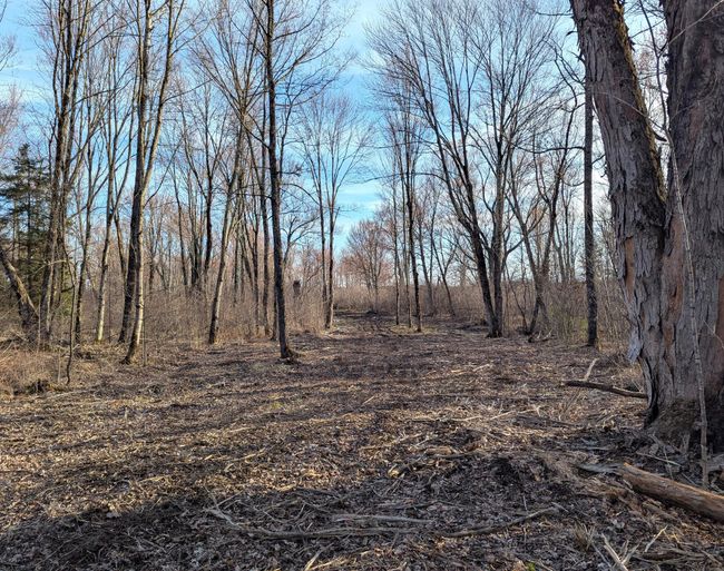 00 Cth X, Home with 0 bedrooms, 0 bathrooms and null parking in PRENTICE WI | Image 11