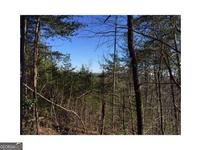 LOT #26 Placer Mining Road, Home with 0 bedrooms, 0 bathrooms and null parking in Dahlonega GA | Image 2