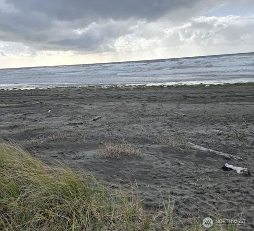 437 Dune Crest Loop, Westport, WA, 98595 | Card Image