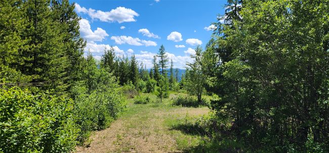 14463 Libby Creek Rd, Home with 0 bedrooms, 0 bathrooms and null parking in Libby MT | Image 14
