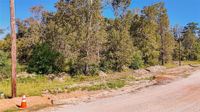 1 Oak Park Trl, Home with 0 bedrooms, 0 bathrooms and null parking in Onalaska TX | Image 8