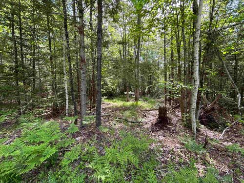 37446 North Shore/Washington Drive, Barnstead, NH, 03225 | Card Image