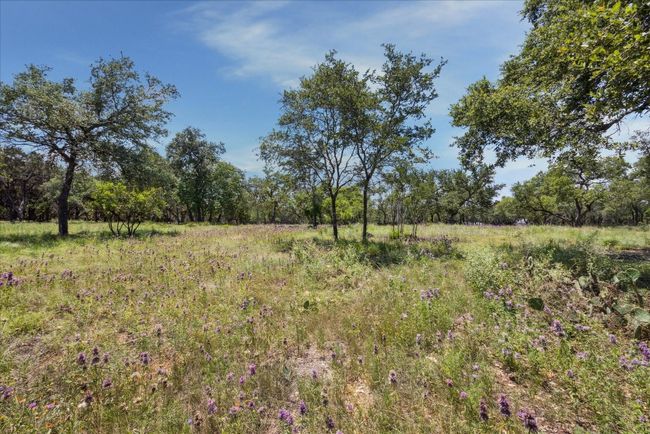 16043 Pool Canyon Rd, Home with 0 bedrooms, 0 bathrooms and null parking in Austin TX | Image 6