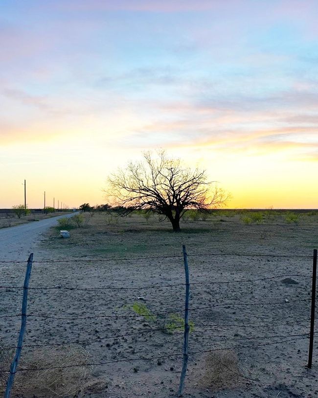 7410 W Fm 818, House other with 3 bedrooms, 3 bathrooms and 5 parking in Big Spring TX | Image 45