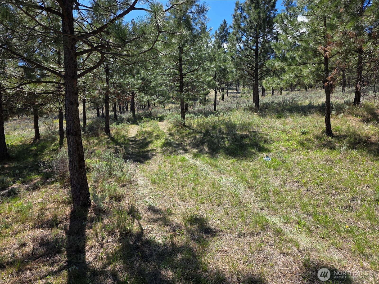 Land in Tonasket 2