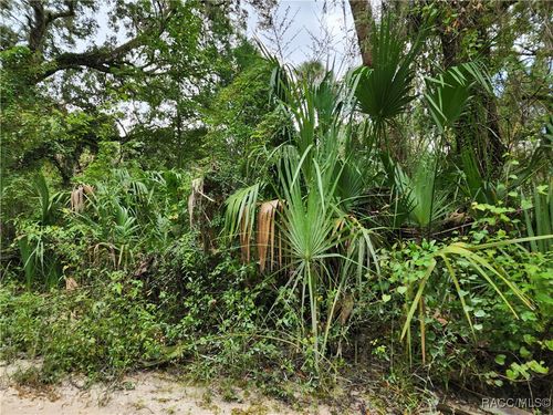 13046 E Shawnee Trl, Inverness, FL, 34450-5601 | Card Image