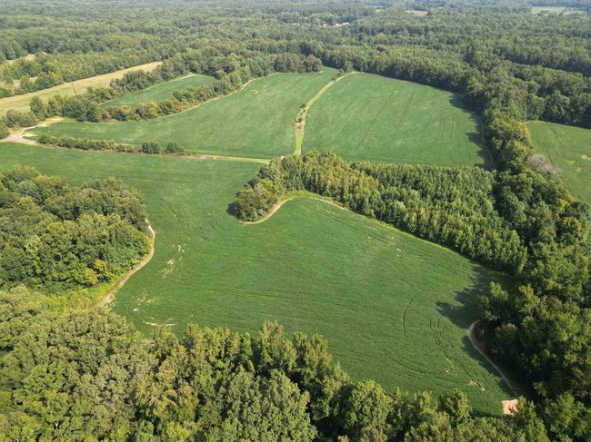 2485 Turner Rd, Home with 0 bedrooms, 0 bathrooms and null parking in Grand Junction TN | Image 19