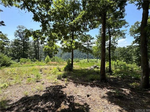 556 Nc 6077, Jasper, AR, 72641-5101 | Card Image