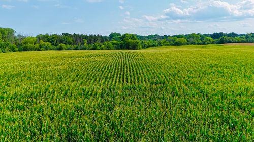 1 3 Mile Rd, Franksville, WI, 53126 | Card Image