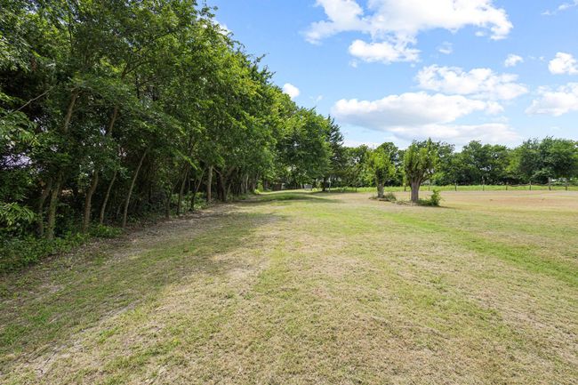 View of grassy yard | Image 36