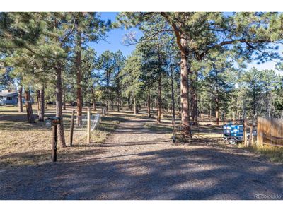 29999 Gigi Dr, Home with 0 bedrooms, 0 bathrooms and null parking in Evergreen CO | Image 2