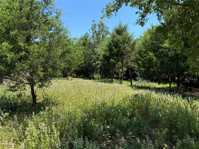 174 Charlya Dr, Home with 0 bedrooms, 0 bathrooms and null parking in Athens TX | Image 9
