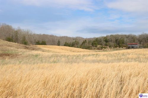 6595 Hammonsville Rd, Bonnieville, KY, 42713-8539 | Card Image