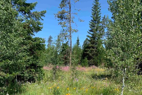 257 Bald Eagle Ln, Donnelly, ID, 83615-5072 | Card Image