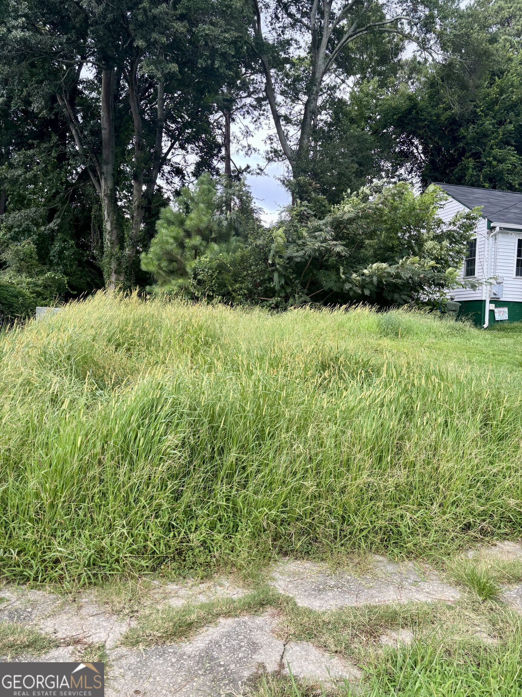 Land in Atlanta 4
