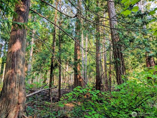 2 Mill Rd, Point Roberts, WA, 98281 | Card Image