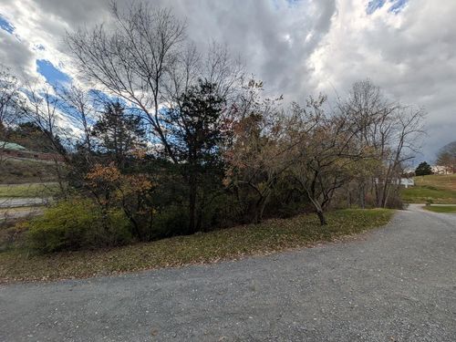TBD Cobblestone Dr, Cedar Bluff, VA, 24609 | Card Image