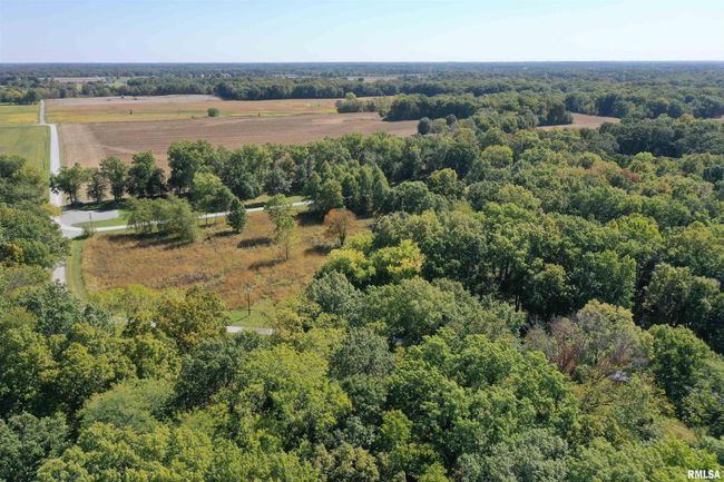 Lot 40 B Deer Park Drive, Home with 0 bedrooms, 0 bathrooms and null parking in Dix IL | Image 21