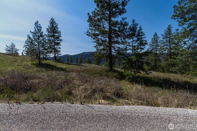1622 Palmer Loop, Home with 0 bedrooms, 0 bathrooms and null parking in Chewelah WA | Image 11
