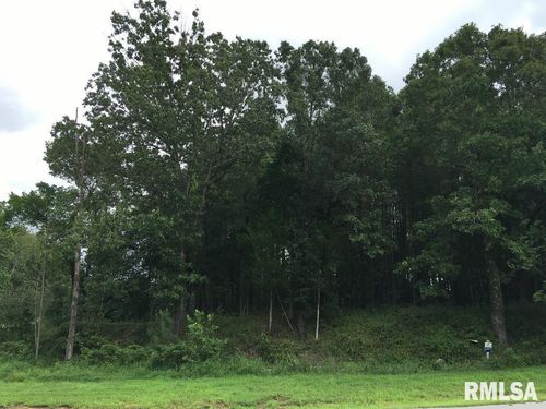 lot 287 Parrish Ridge Ln, Goreville, IL, 62939 | Card Image
