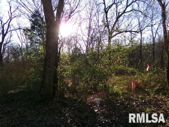 2225 Route 34, House other with 4 bedrooms, 2 bathrooms and null parking in Rosiclare IL | Image 40