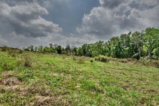 View of nature | Image 23