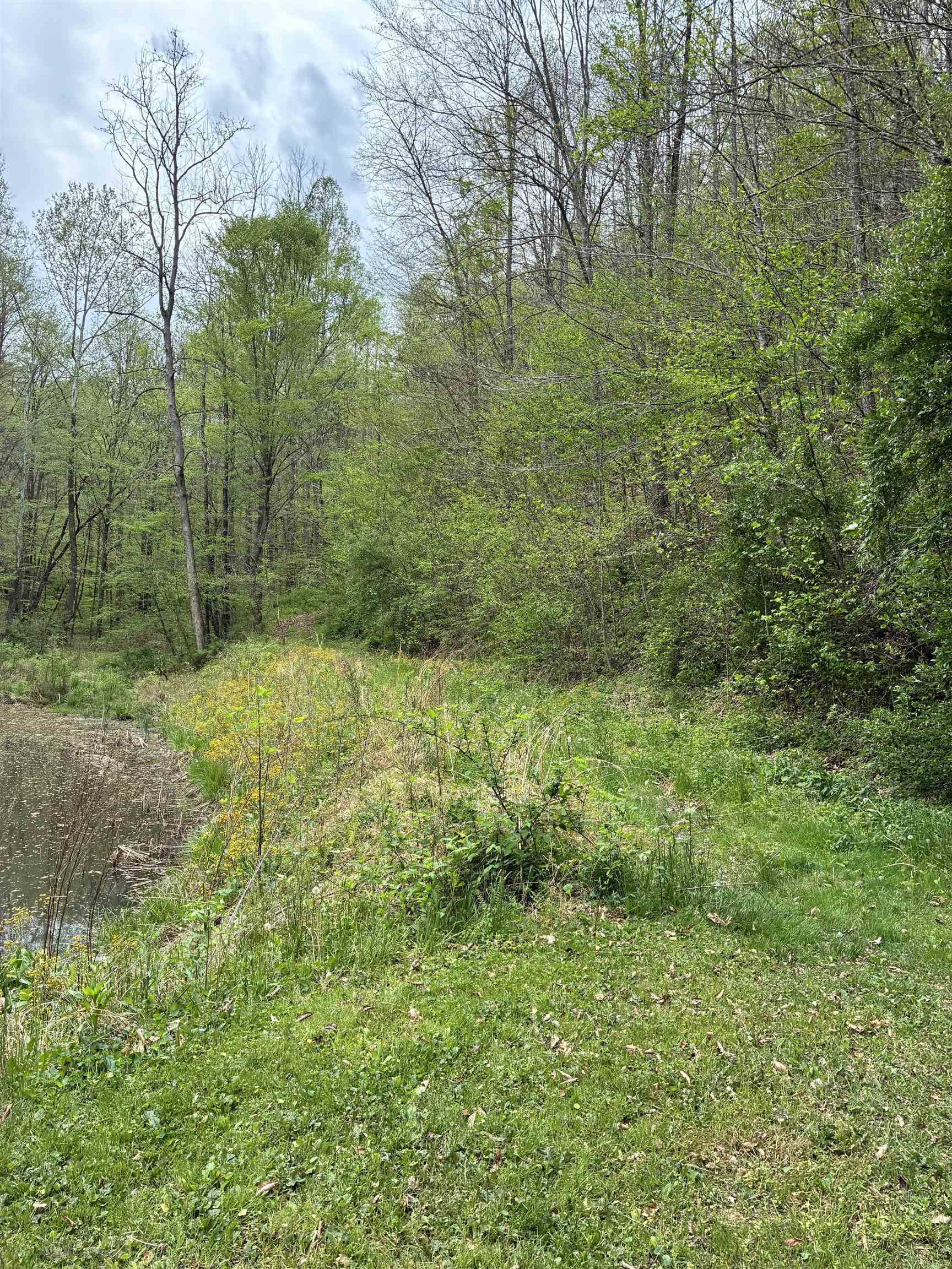 Land in Louisa 5