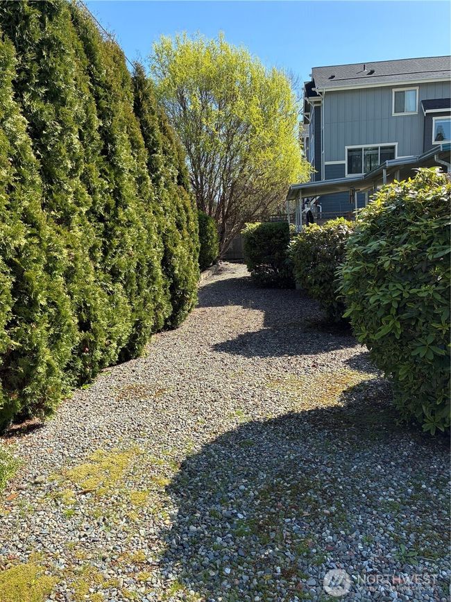 Green in Front Yard + no grass to mow. | Image 4